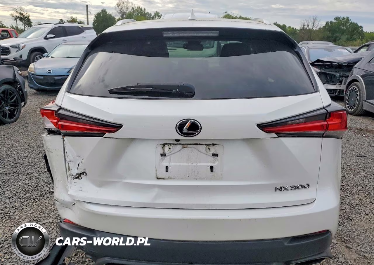 2019 Lexus Nx 300 Base VIN:JTJBARBZ4K2181095 - 6