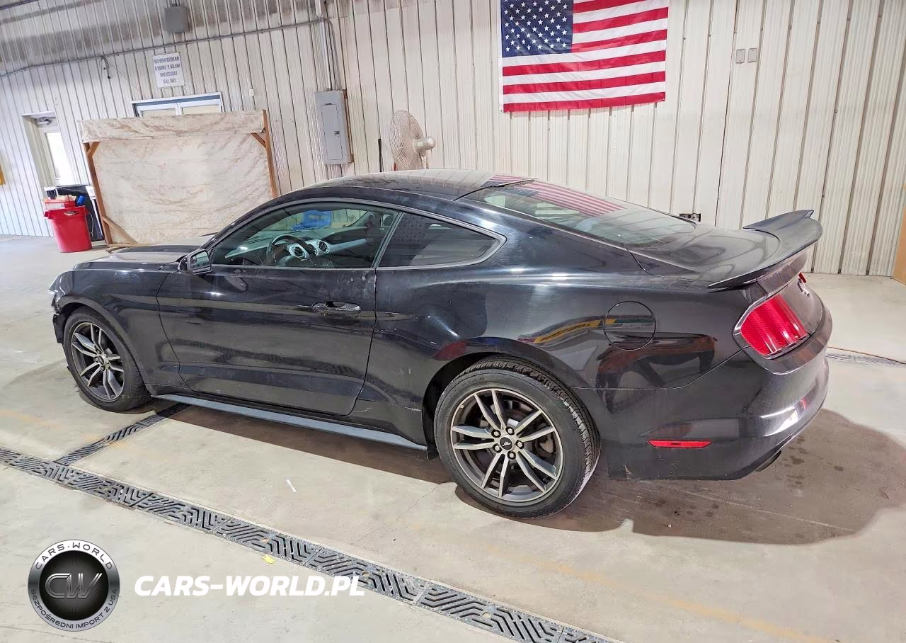 2017 Ford Mustang VIN:1FA6P8TH7H5238194 - 2