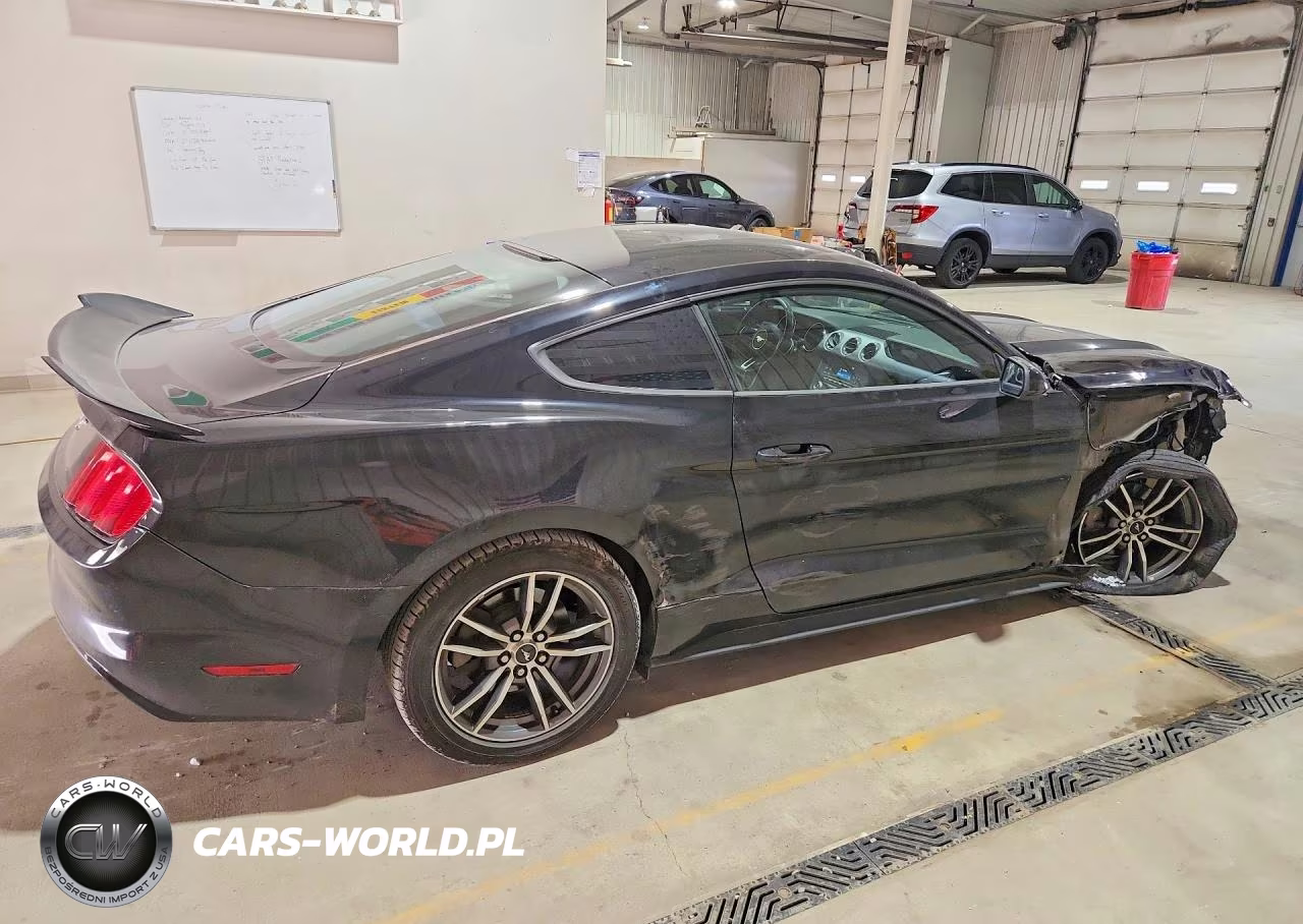 2017 Ford Mustang VIN:1FA6P8TH7H5238194 - 3