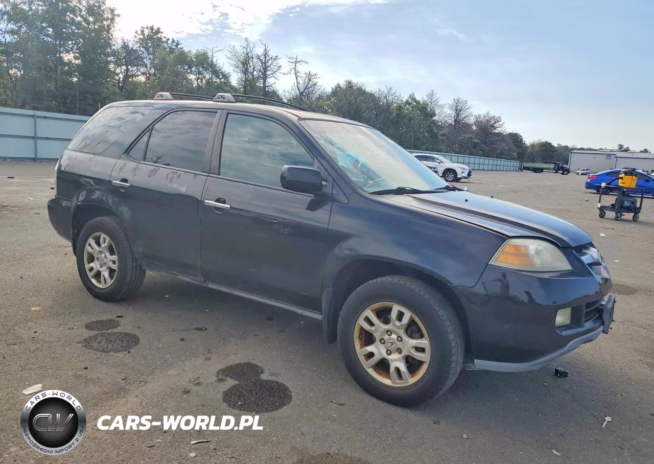 2006 Acura Mdx Touring VIN:2HNYD18646H547941 - 4