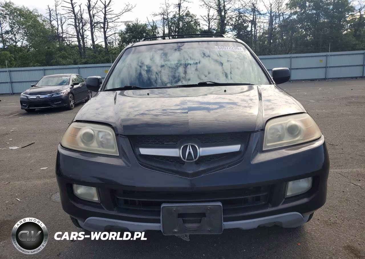 2006 Acura Mdx Touring VIN:2HNYD18646H547941 - 5