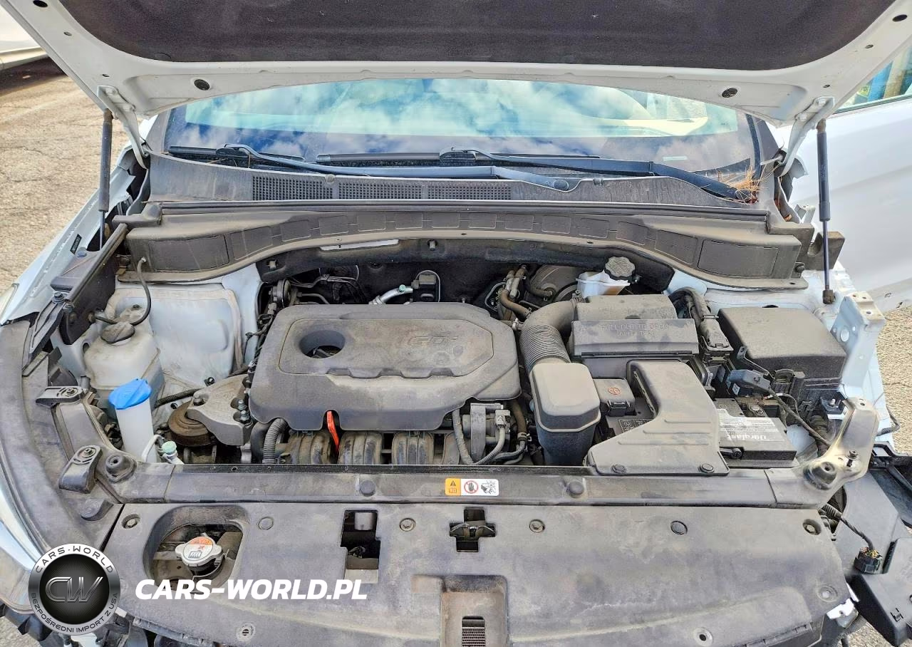 2018 Hyundai Santa Fe Sport 2.4L VIN:5NMZU3LB4JH079572 - 12