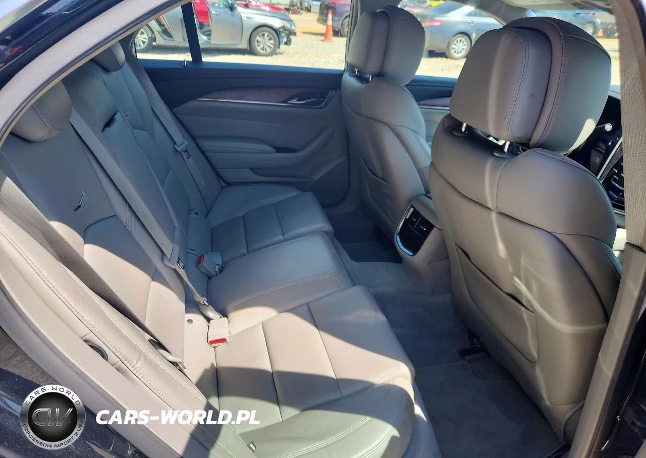 2014 Cadillac Cts VIN:1G6AP5SX7E0146655 - 10