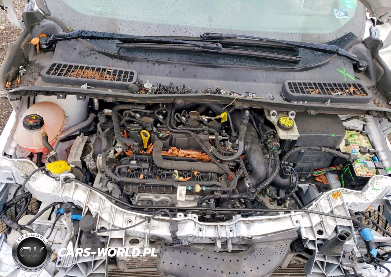 2019 Ford Escape Sel VIN:1FMCU9HD9KUB48541 - 12
