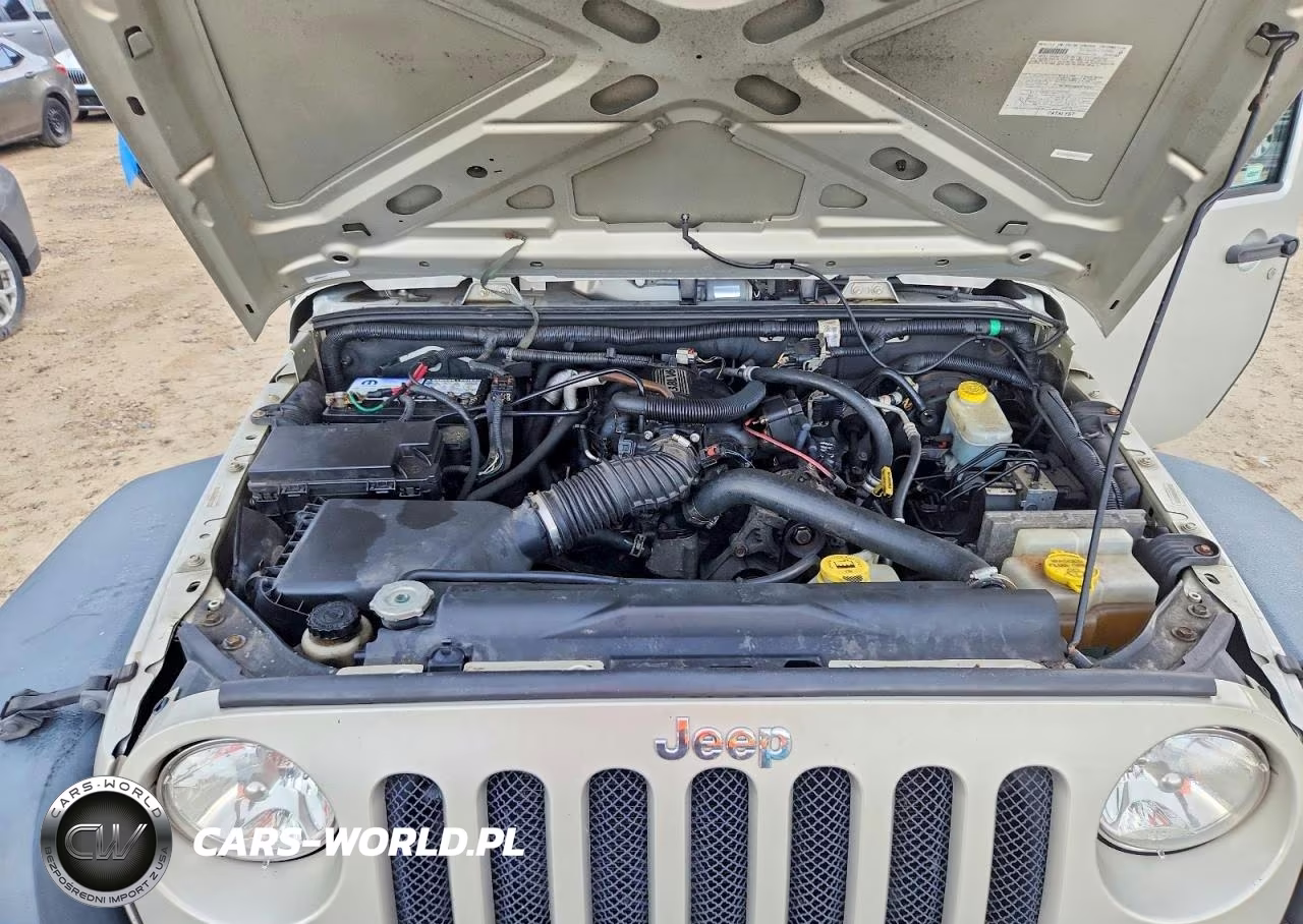 2007 Jeep Wrangler X VIN:1J8FA24167L176767 - 11