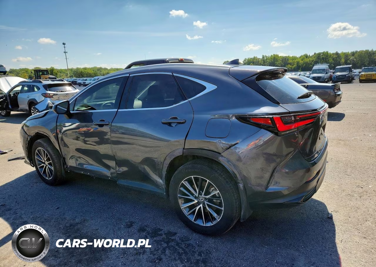 2024 Lexus Nx 350 Premium VIN:2T2GGCEZ3RC048108 - 2