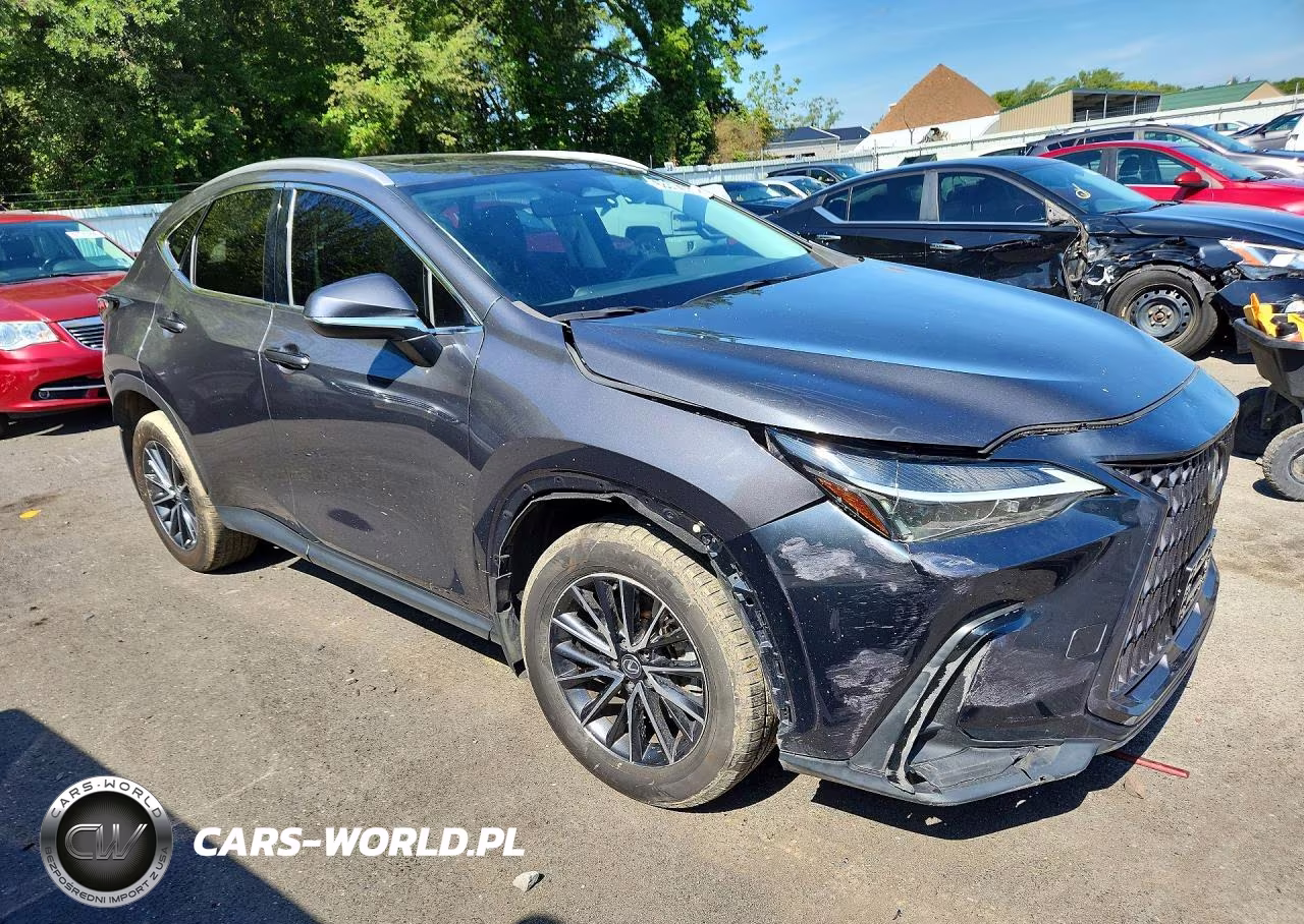 2024 Lexus Nx 350 Premium VIN:2T2GGCEZ3RC048108 - 4