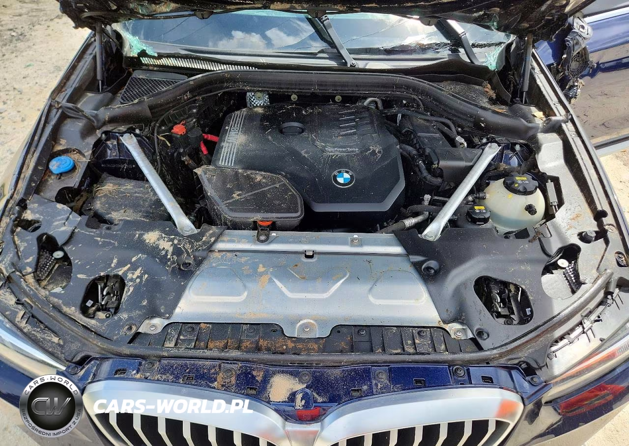 2022 BMW X3 xDrive30I VIN:5UX53DP00N9K32495 - 12