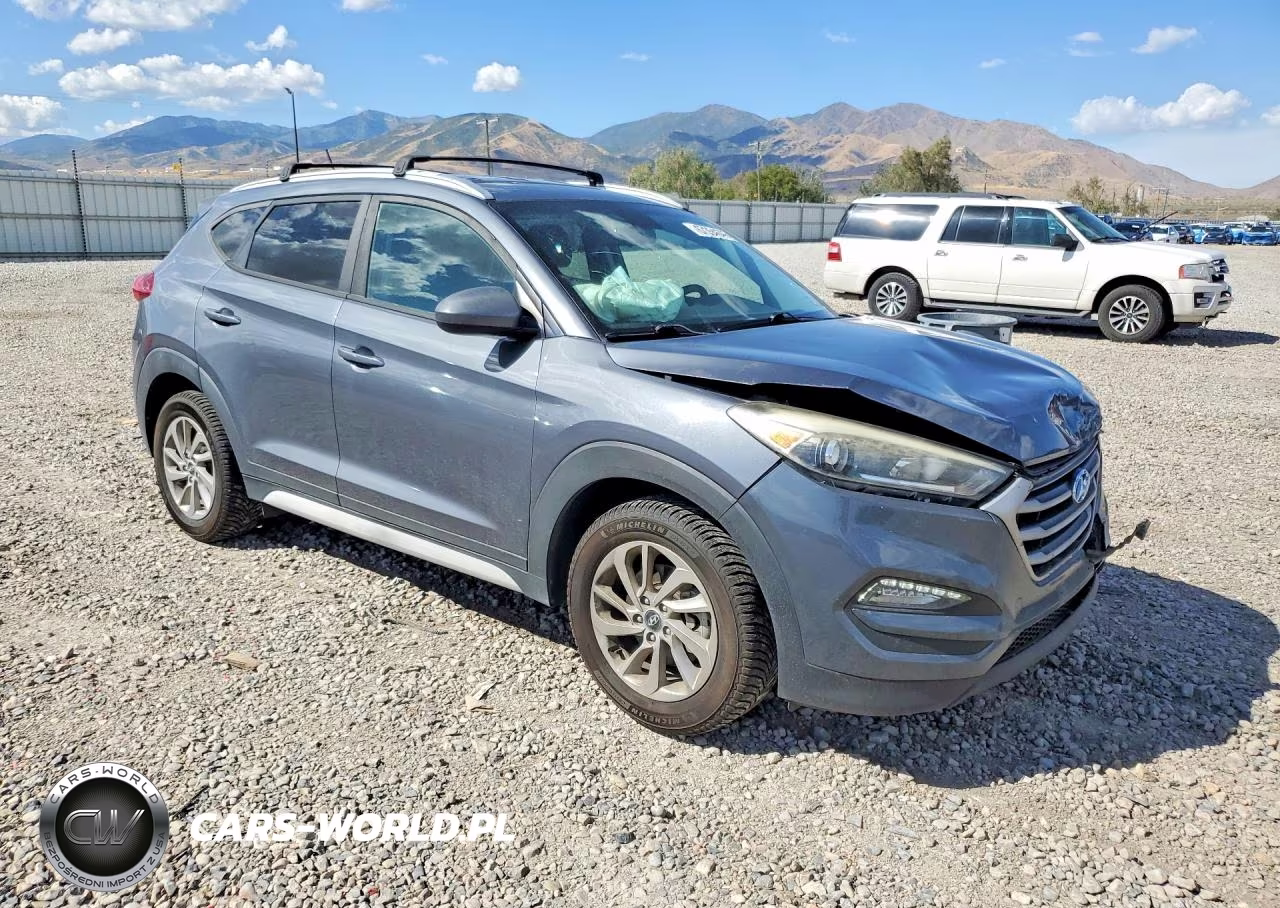 2017 Hyundai Tucson Se VIN:KM8J3CA42HU412306 - 4