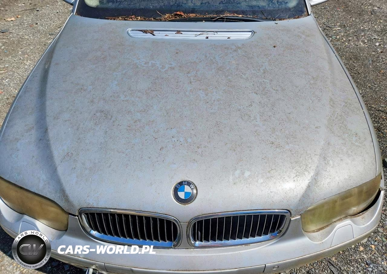 2002 BMW 745 I VIN:WBAGL63402DP60770 - 11