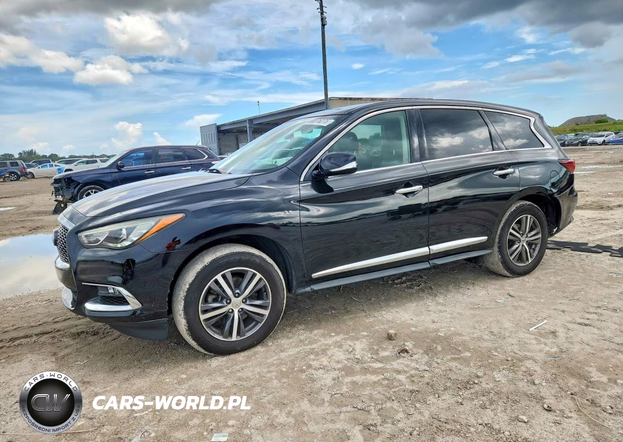 2020 Infiniti Qx60 Pure VIN:5N1DL0MNXLC504830 - 1