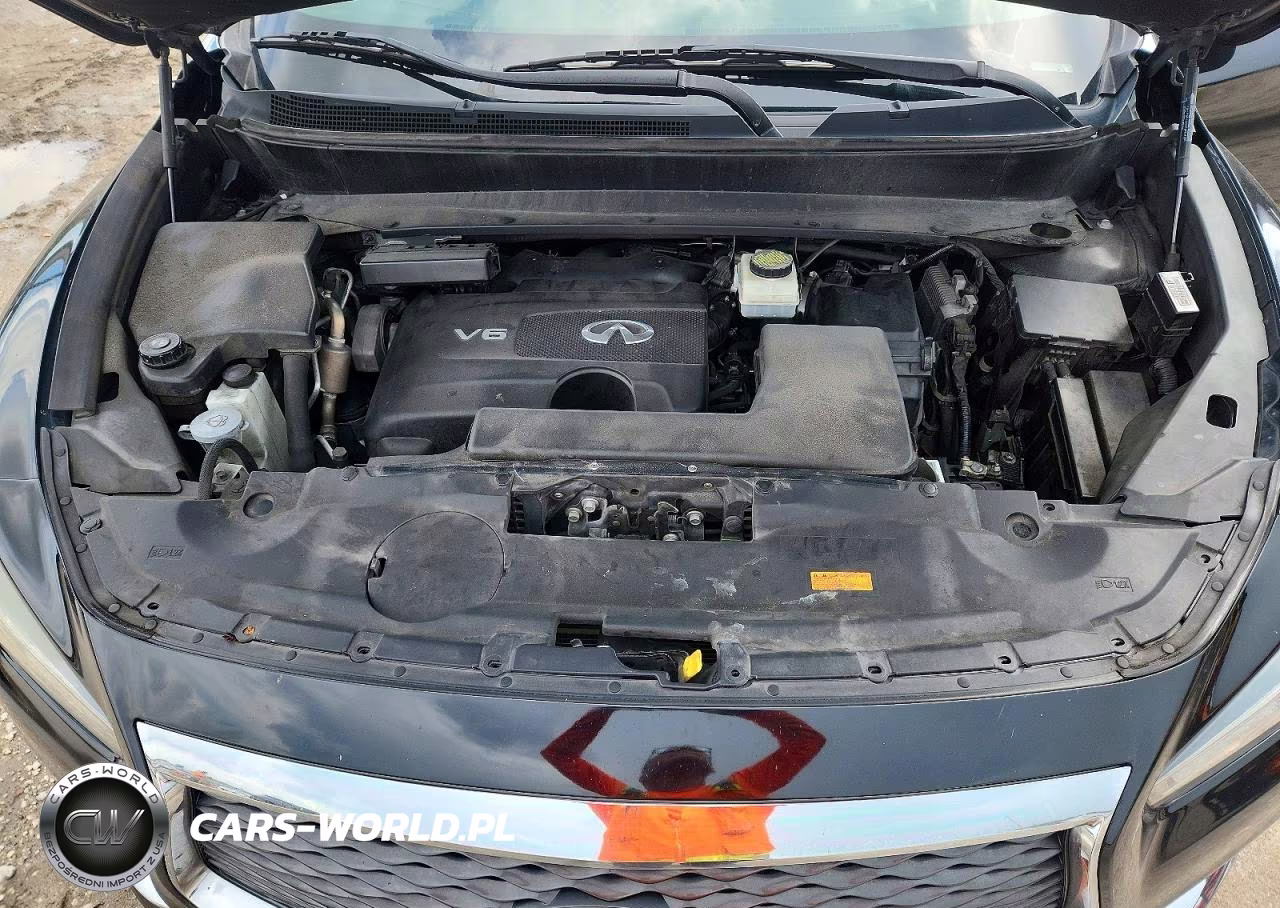 2020 Infiniti Qx60 Pure VIN:5N1DL0MNXLC504830 - 12