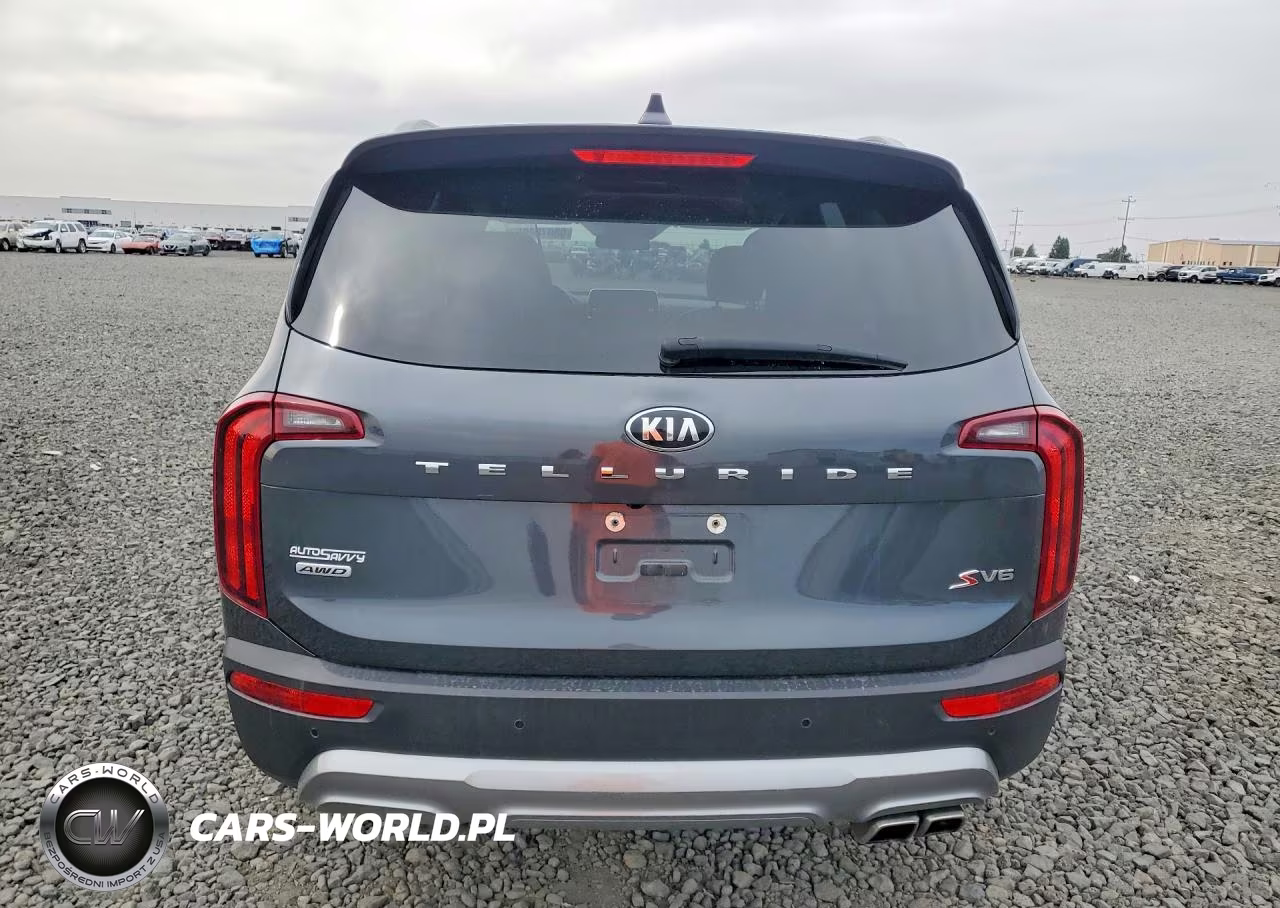 2021 Kia Telluride S VIN:5XYP6DHC9MG127946 - 6