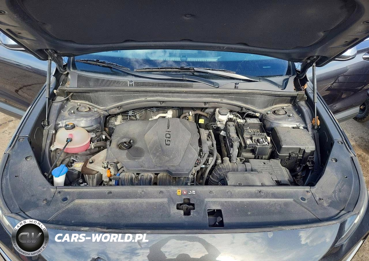 2023 Hyundai Santa Fe Se VIN:5NMS1DAJ6PH517592 - 12