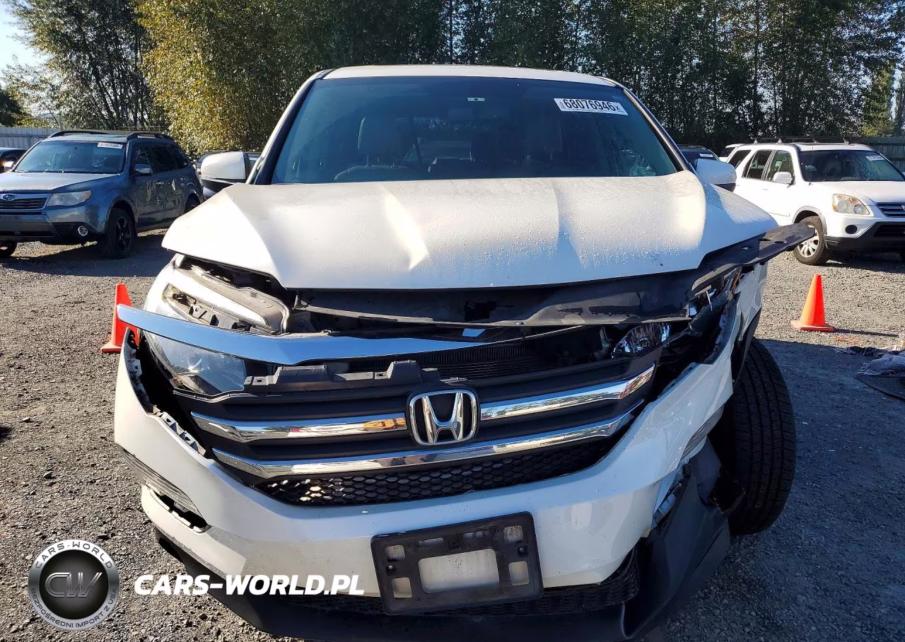 2016 Honda Pilot Exl VIN:5FNYF6H59GB060794 - 5