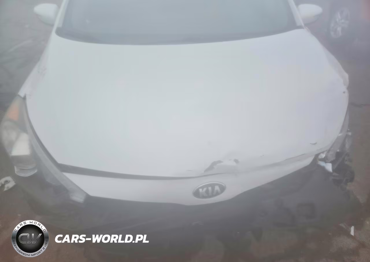 2015 Kia Forte Ex VIN:KNAFX4A86F5334124 - 11