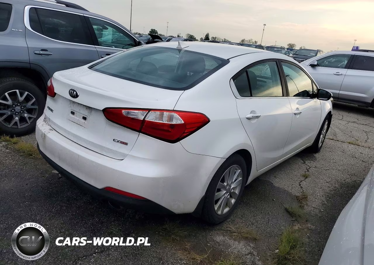 2015 Kia Forte Ex VIN:KNAFX4A86F5334124 - 3