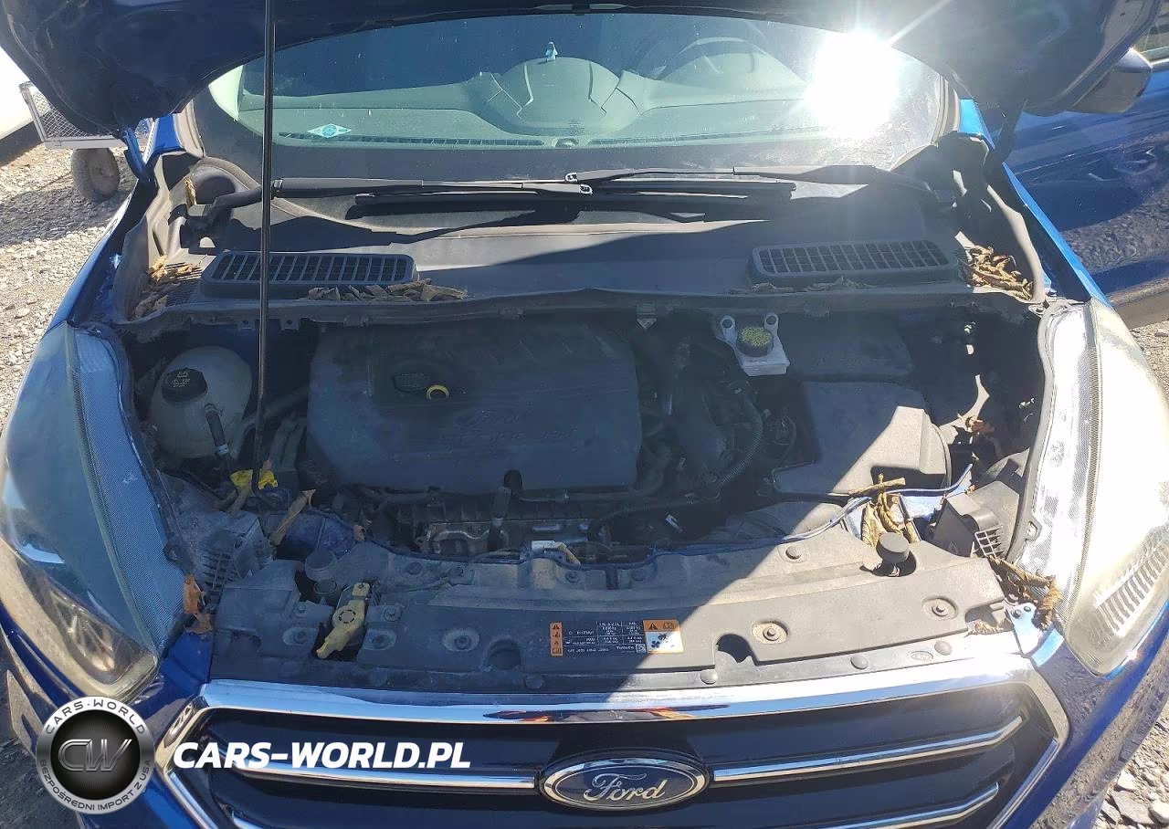 2017 Ford Escape Se VIN:1FMCU0GD6HUE92107 - 12