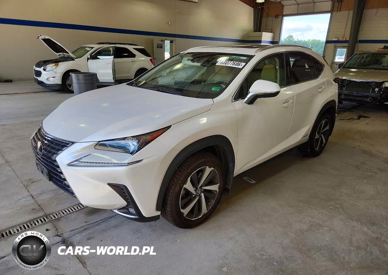 2020 Lexus Nx 300H VIN:JTJGJRDZ9L5008580 - 1