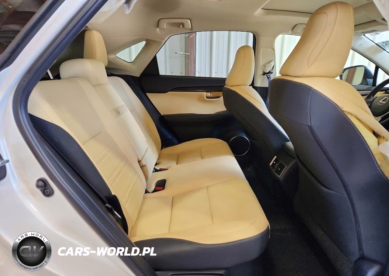 2020 Lexus Nx 300H VIN:JTJGJRDZ9L5008580 - 11