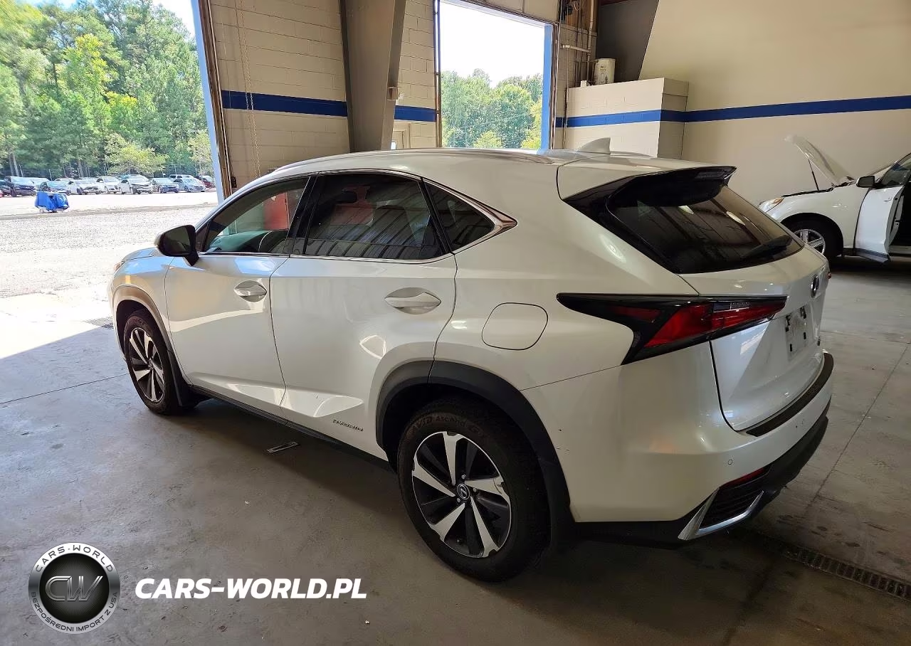 2020 Lexus Nx 300H VIN:JTJGJRDZ9L5008580 - 2