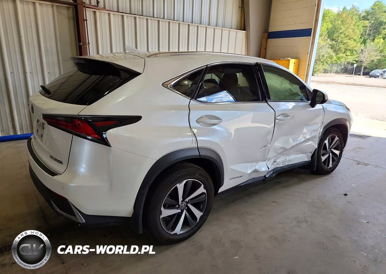 2020 Lexus Nx 300H VIN:JTJGJRDZ9L5008580 - 3