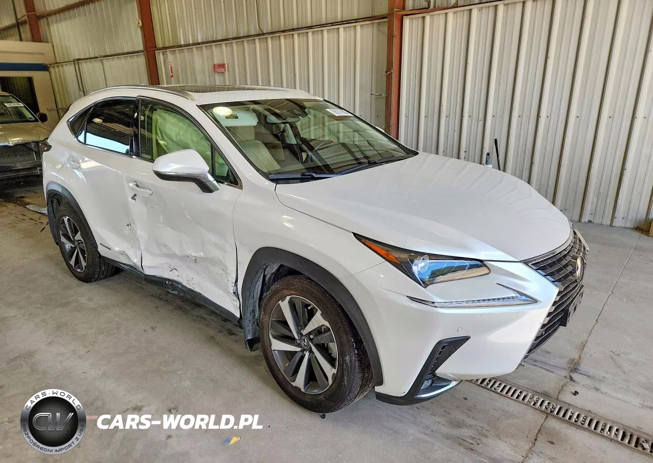 2020 Lexus Nx 300H VIN:JTJGJRDZ9L5008580 - 4
