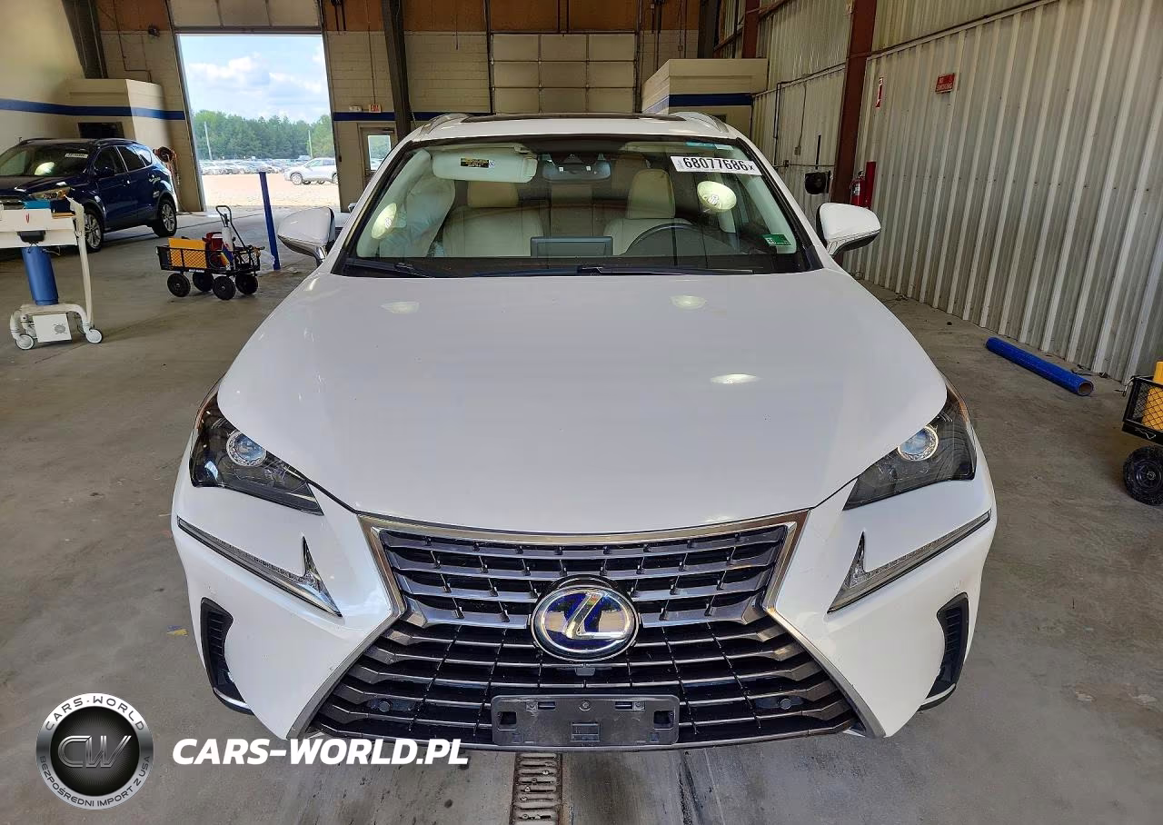 2020 Lexus Nx 300H VIN:JTJGJRDZ9L5008580 - 5