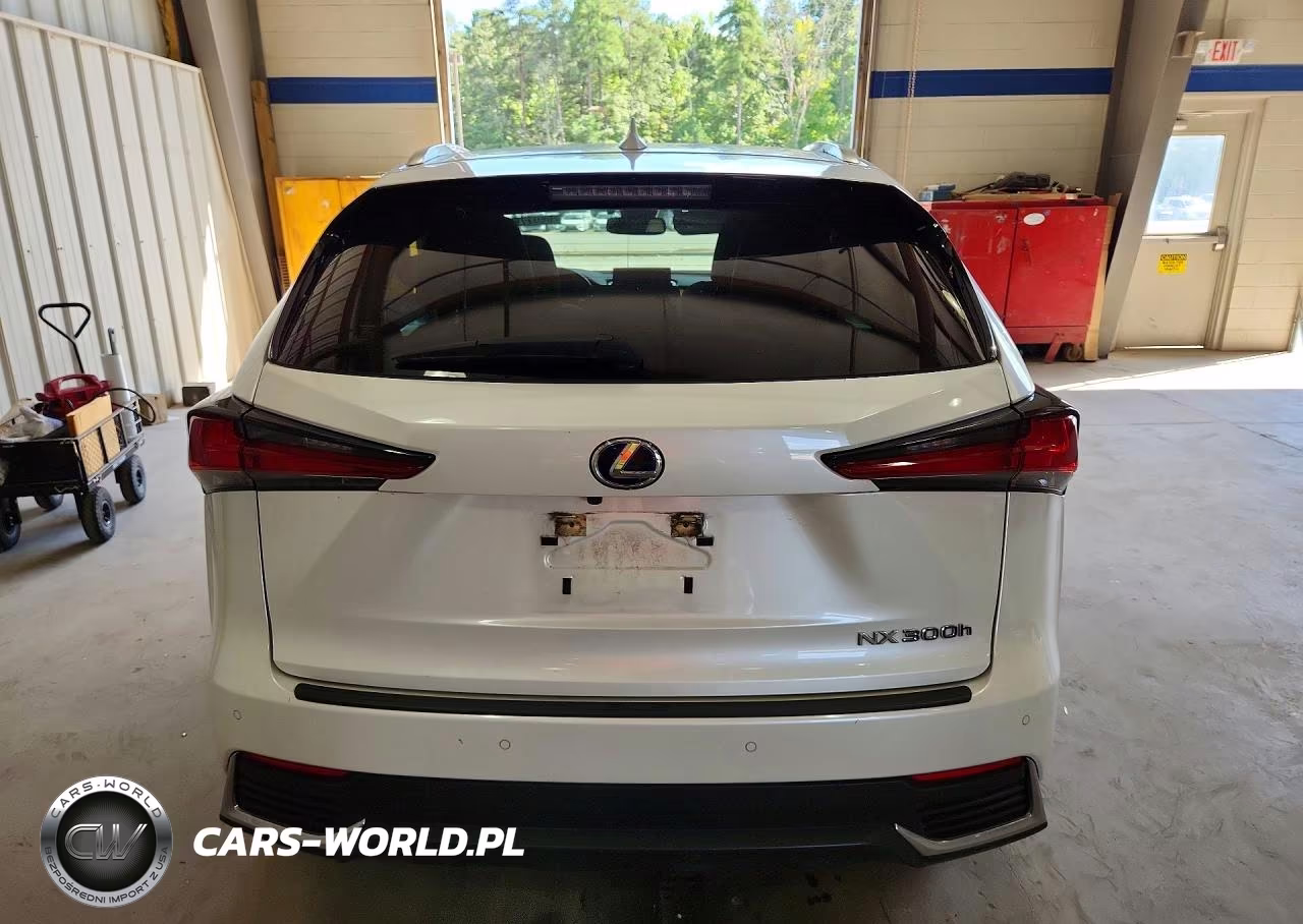2020 Lexus Nx 300H VIN:JTJGJRDZ9L5008580 - 6