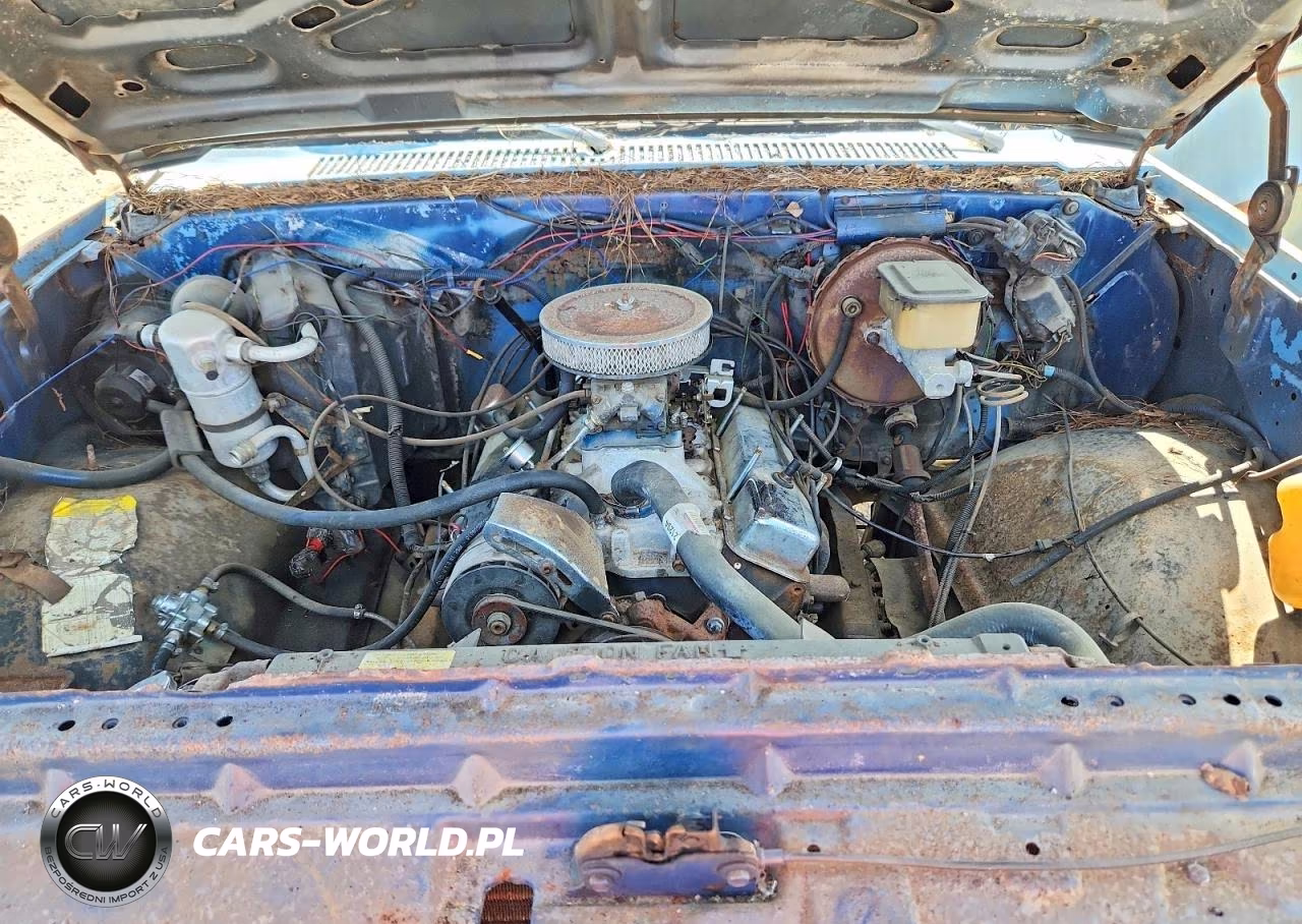 1983 Chevrolet C10 VIN:2GCDC14D0D1106812 - 11