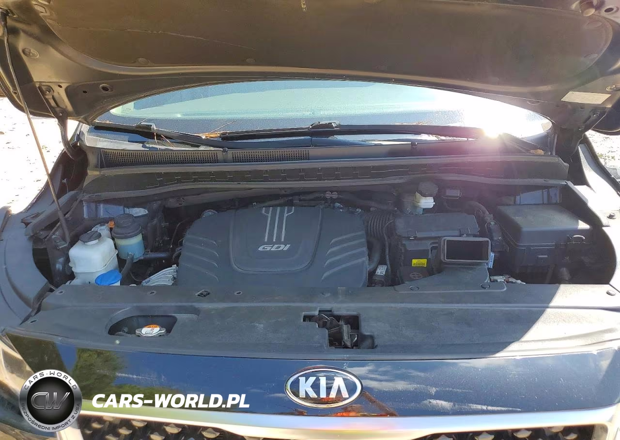 2017 Kia Sedona Ex VIN:KNDMC5C15H6257867 - 12
