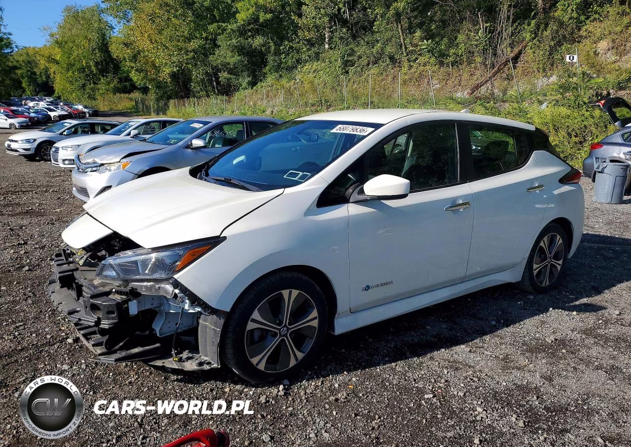 2019 Nissan Leaf Sv