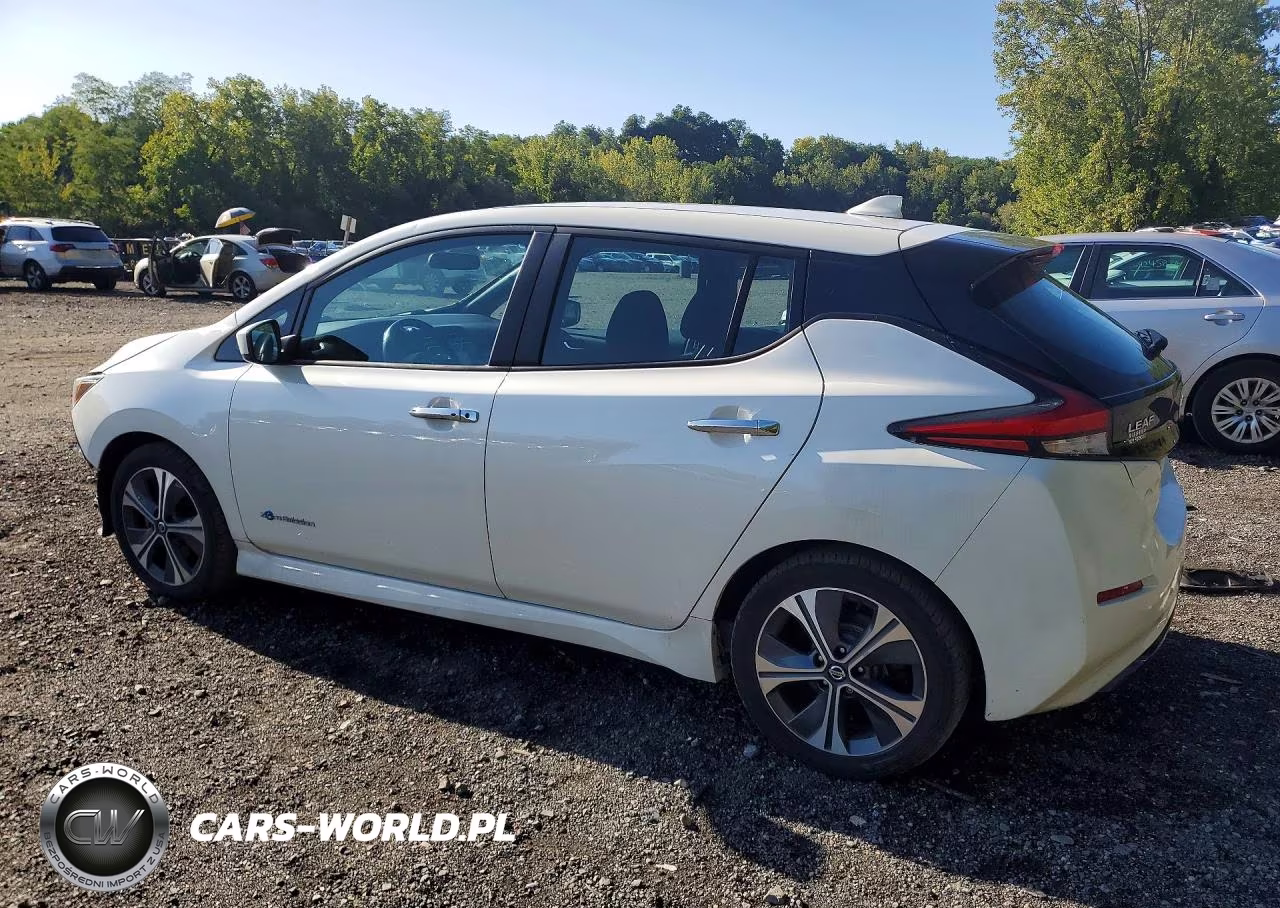 2019 Nissan Leaf Sv VIN:1N4AZ1CPXKC307479 - 2