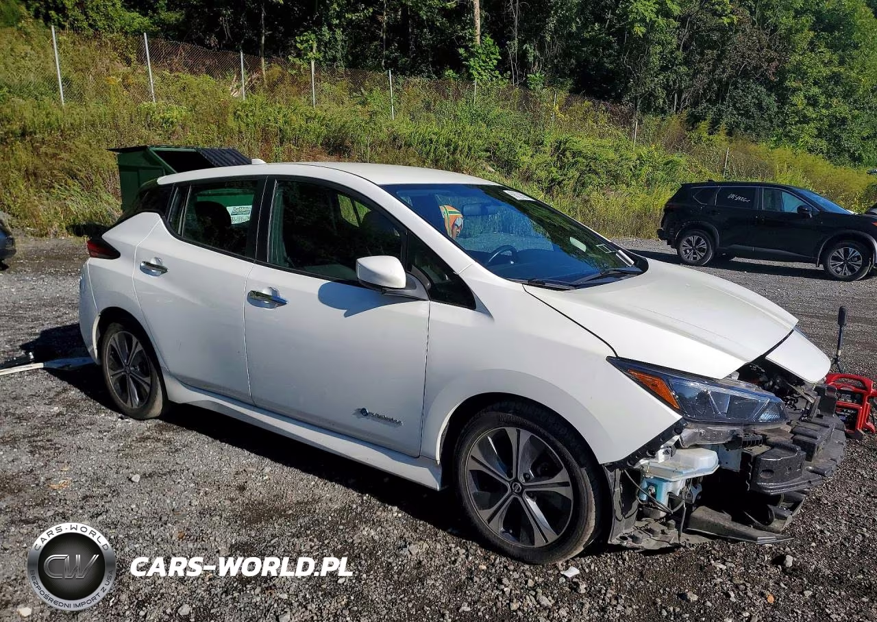 2019 Nissan Leaf Sv VIN:1N4AZ1CPXKC307479 - 4