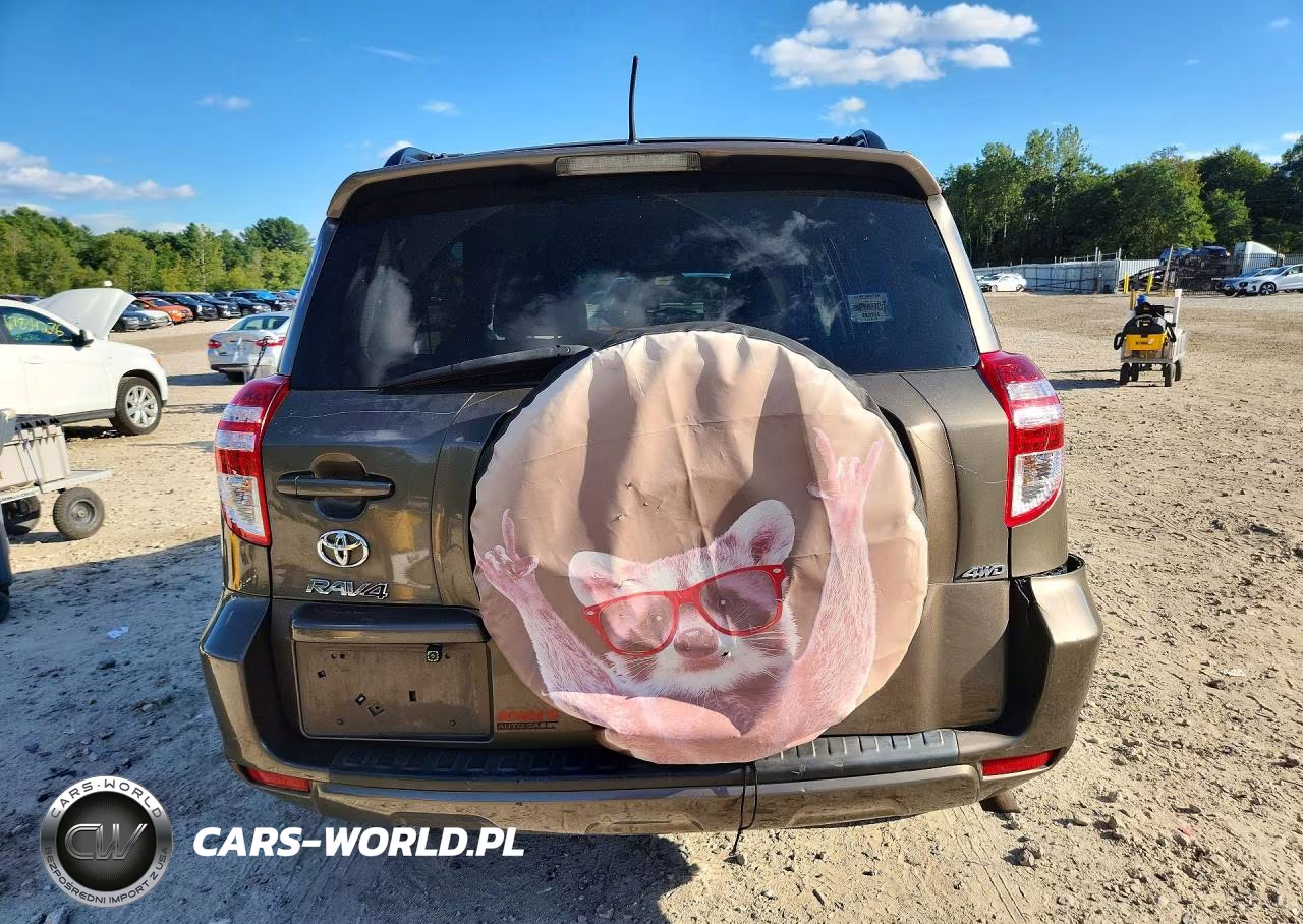 2012 Toyota Rav4 Base VIN:2T3BF4DV4CW210427 - 6
