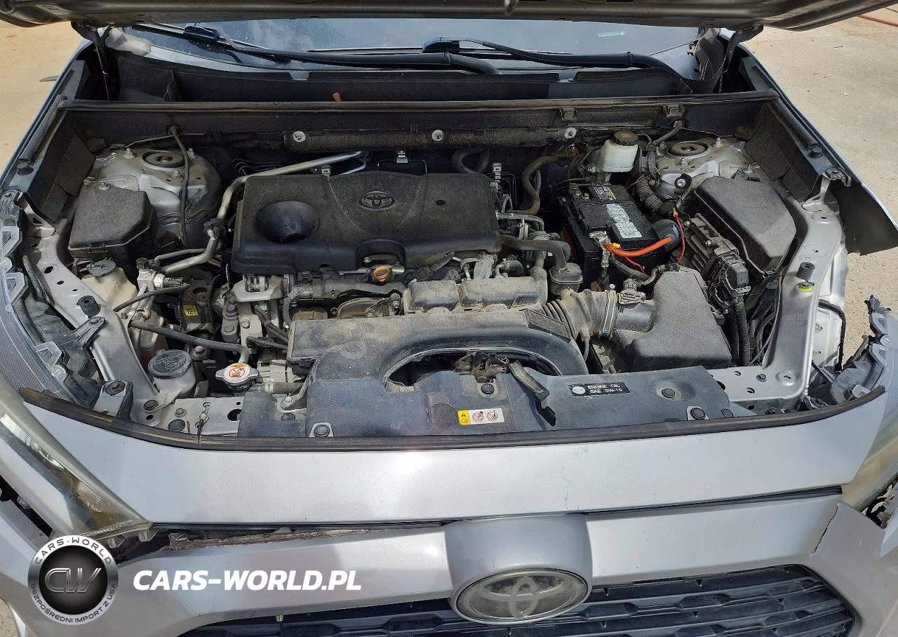 2019 Toyota Rav4 Xle VIN:2T3W1RFV2KW015595 - 12