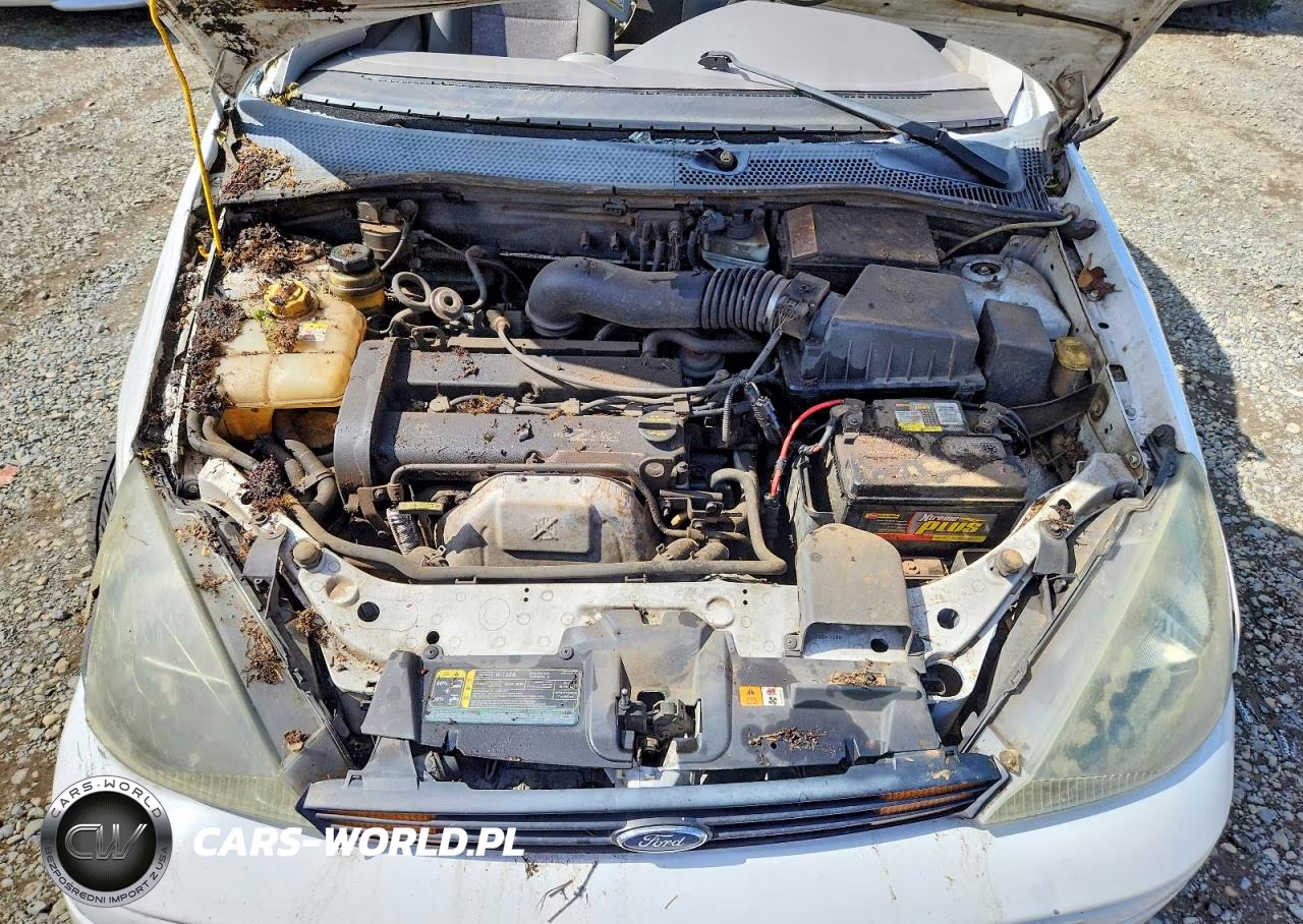 2004 Ford Focus Zx3 VIN:3FAFP31354R126253 - 11