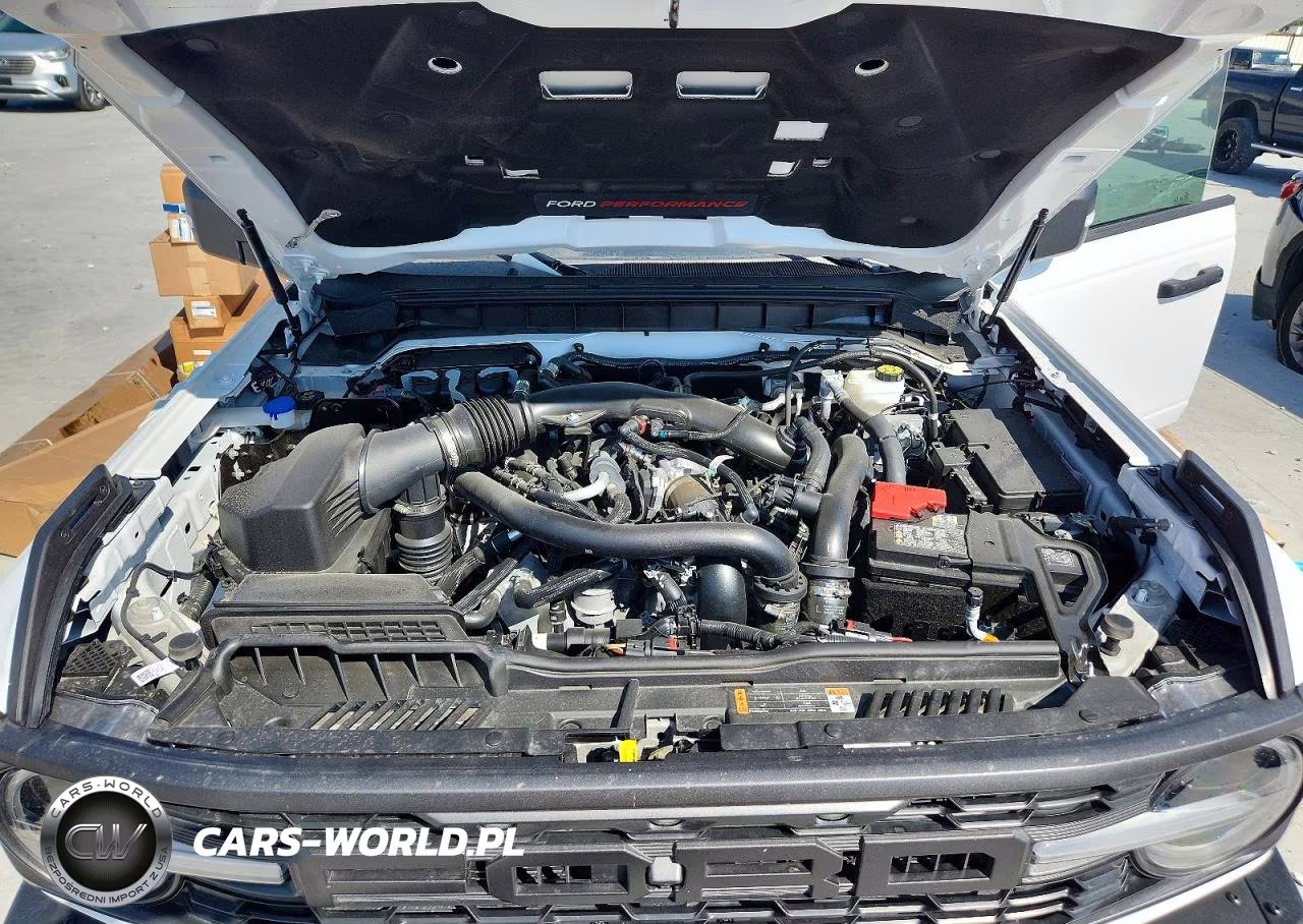 2025 Ford Bronco Raptor VIN:1FMEE0RR4SLA65830 - 12