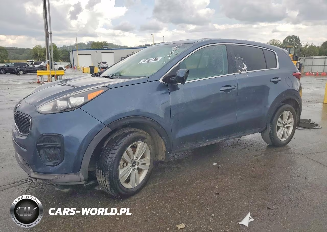 2019 Kia Sportage Lx VIN:KNDPM3AC7K7621632 - 1