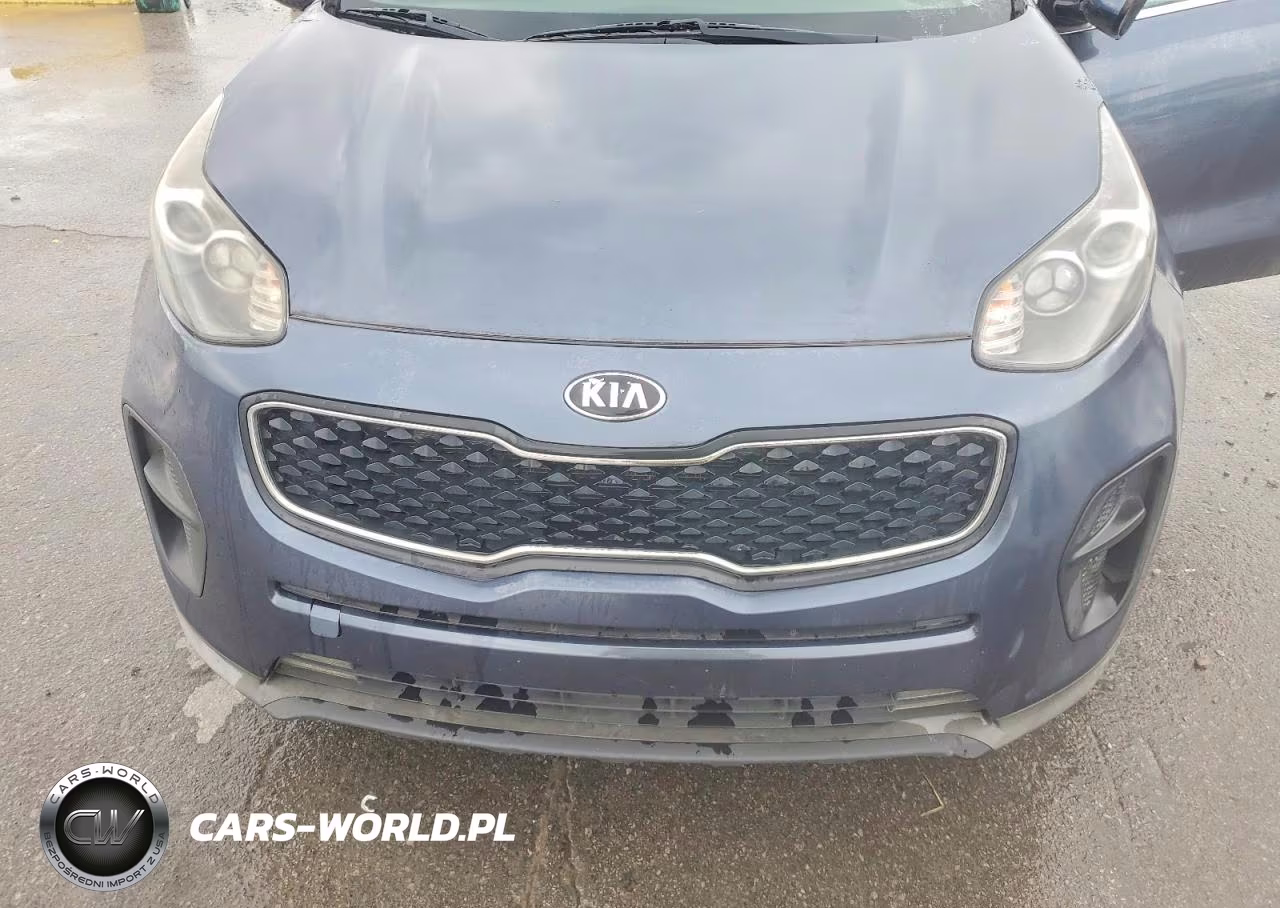 2019 Kia Sportage Lx VIN:KNDPM3AC7K7621632 - 12
