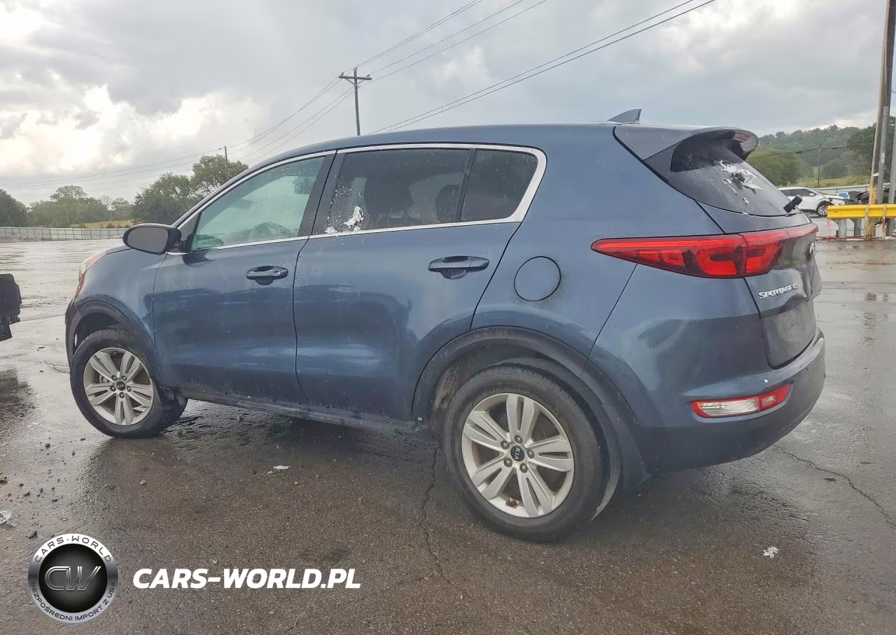 2019 Kia Sportage Lx VIN:KNDPM3AC7K7621632 - 2