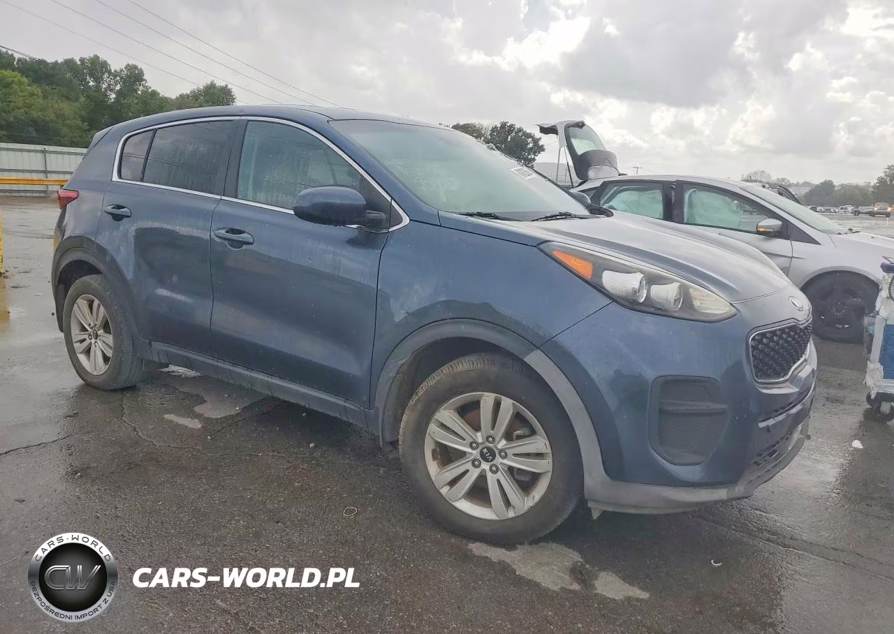 2019 Kia Sportage Lx VIN:KNDPM3AC7K7621632 - 4