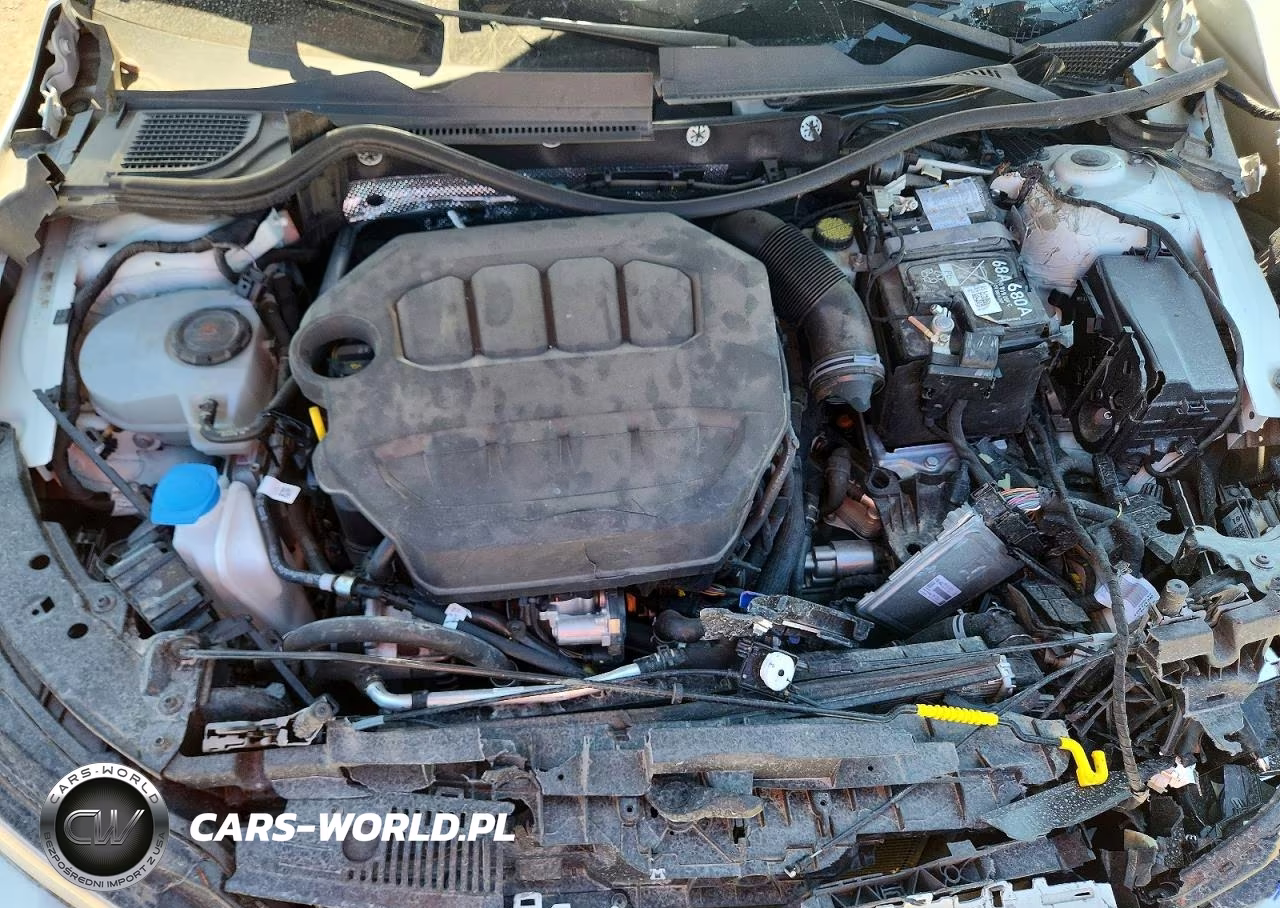 2024 Volkswagen Golf R VIN:WVWEB7CDXRW224894 - 11