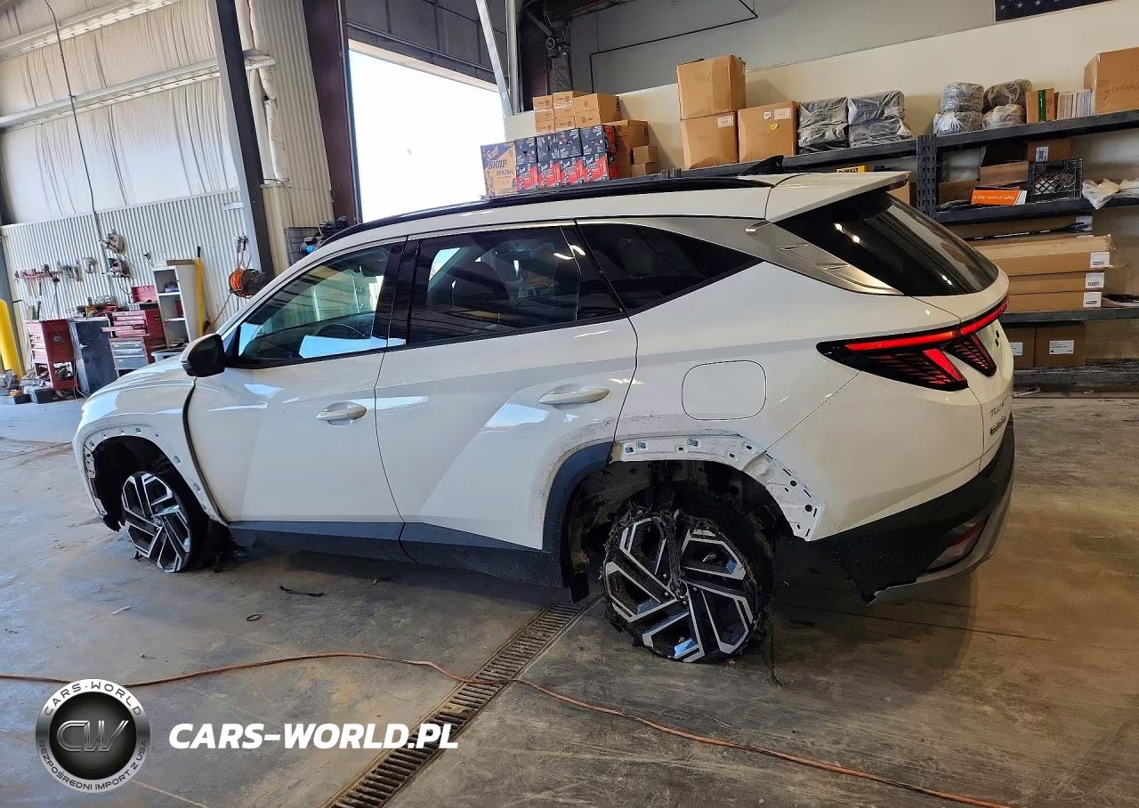 2025 Hyundai Tucson Limited VIN:5NMJECDE7SH519191 - 2