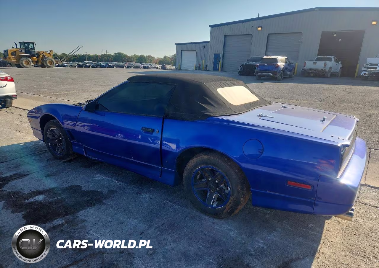1985 Pontiac Firebird Trans Am VIN:1G2FW87F4FL203681 - 2
