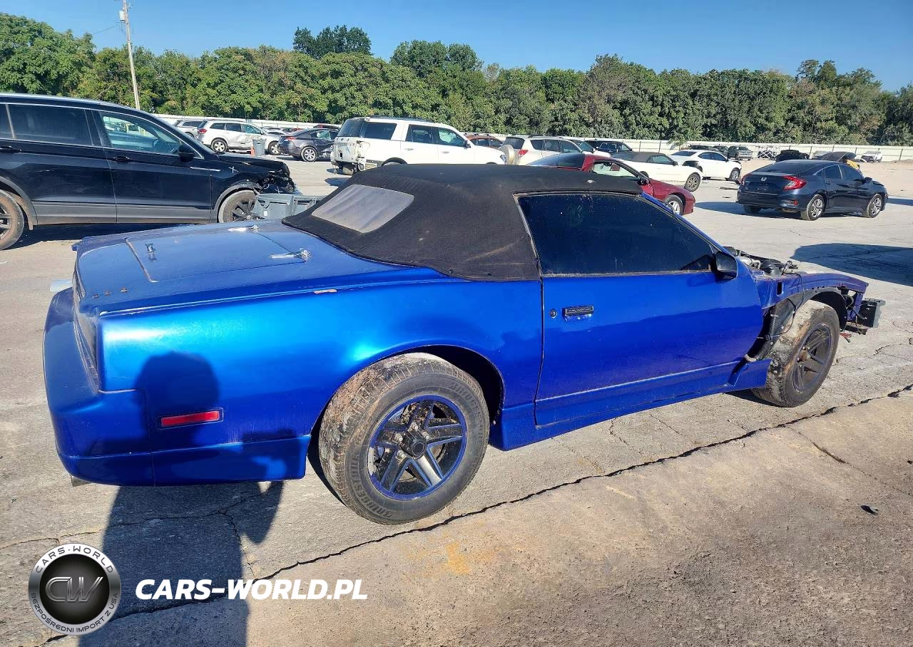 1985 Pontiac Firebird Trans Am VIN:1G2FW87F4FL203681 - 3