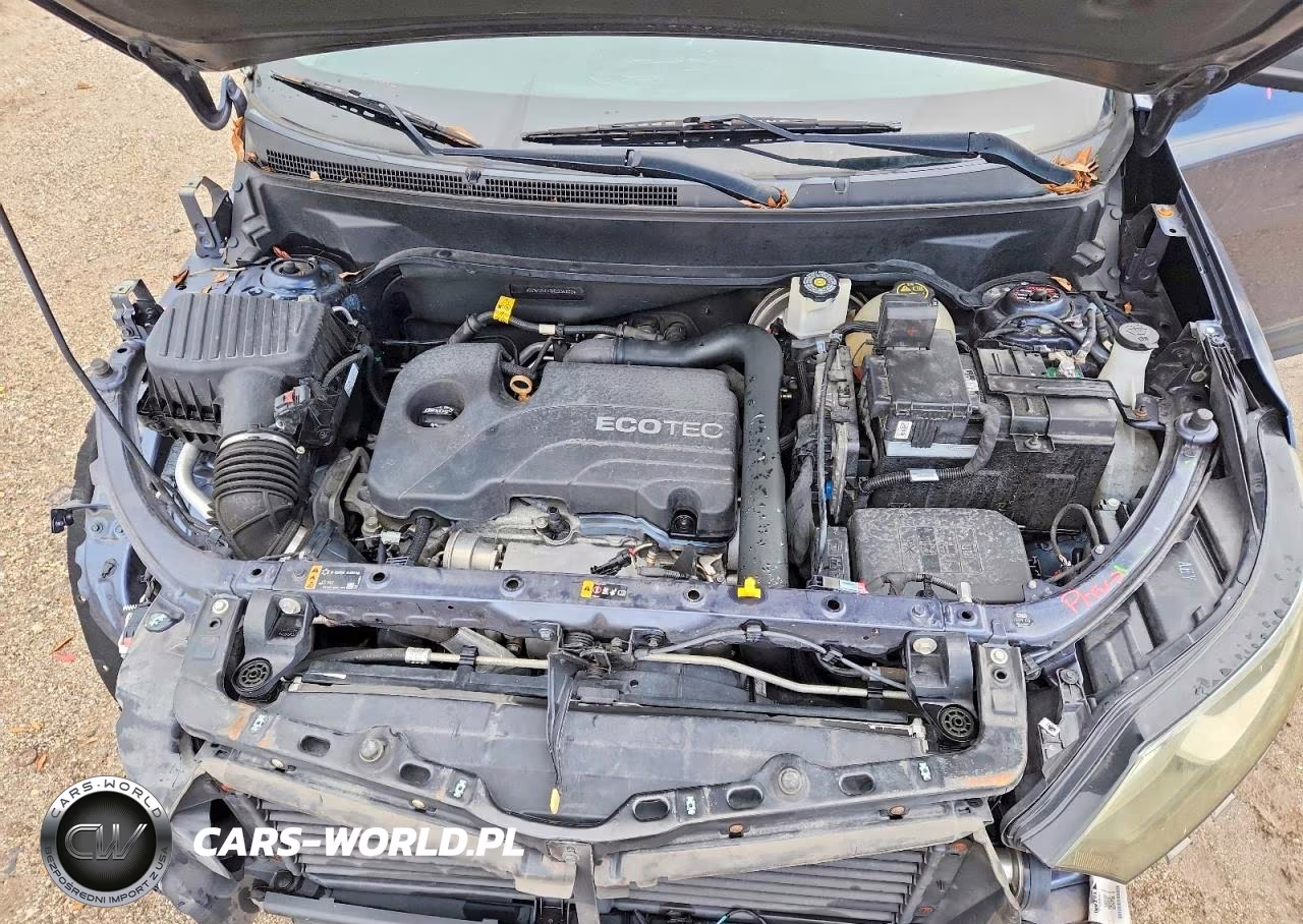 CHEVROLET EQUINOX LS VIN:3GNAXHEV8KL236802 - 12