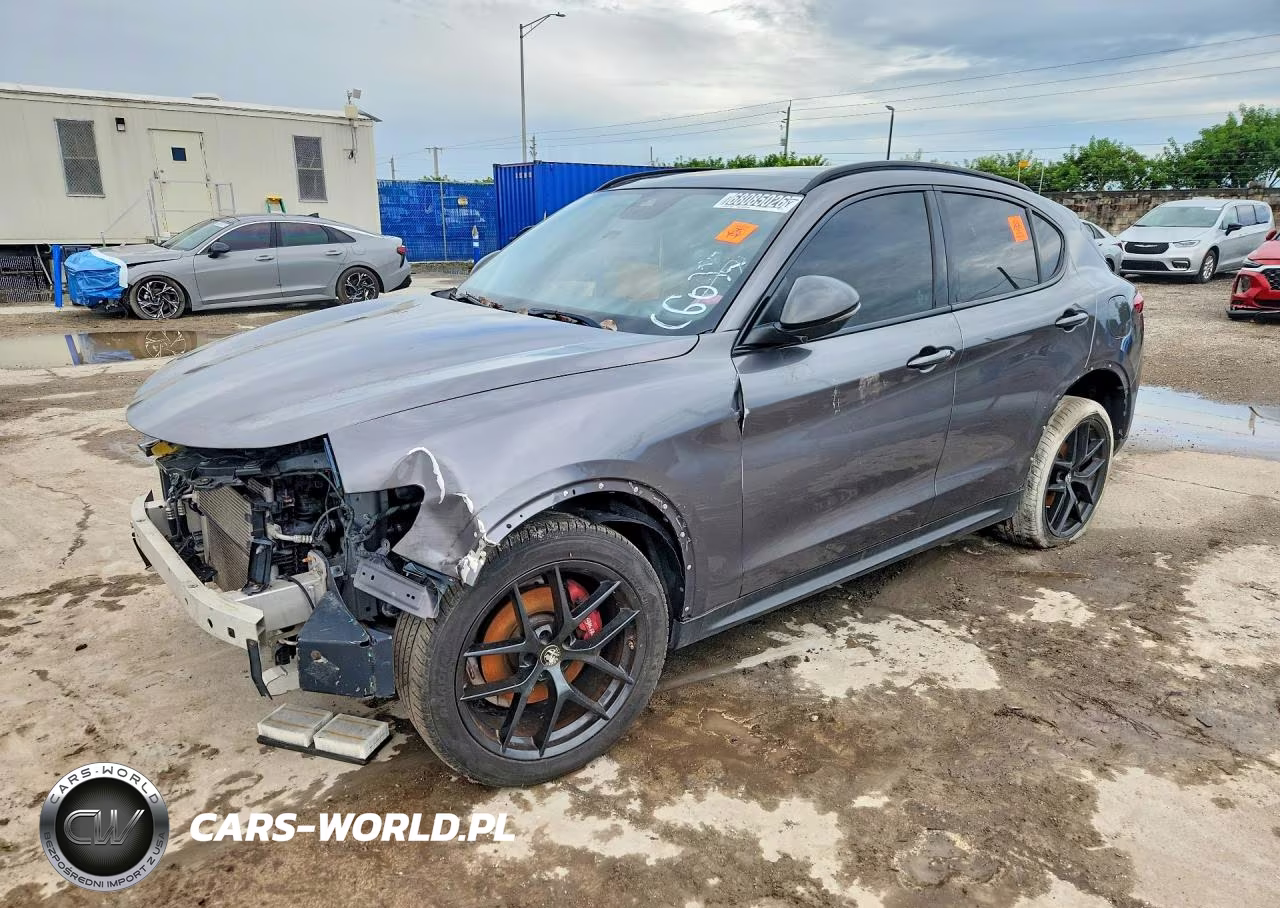 2019 Alfa Romeo Stelvio VIN:ZASPAJAN6K7C60321 - 1