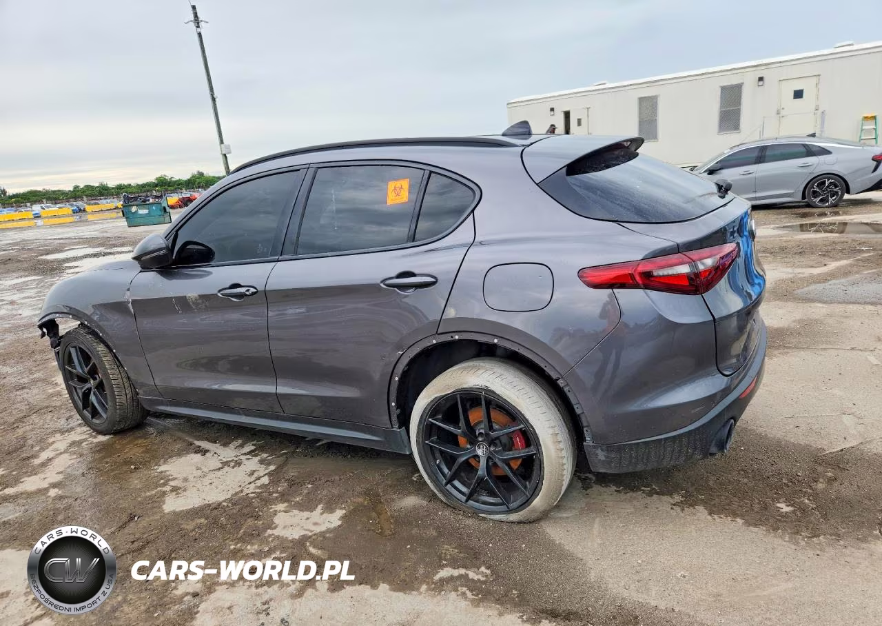 2019 Alfa Romeo Stelvio VIN:ZASPAJAN6K7C60321 - 2