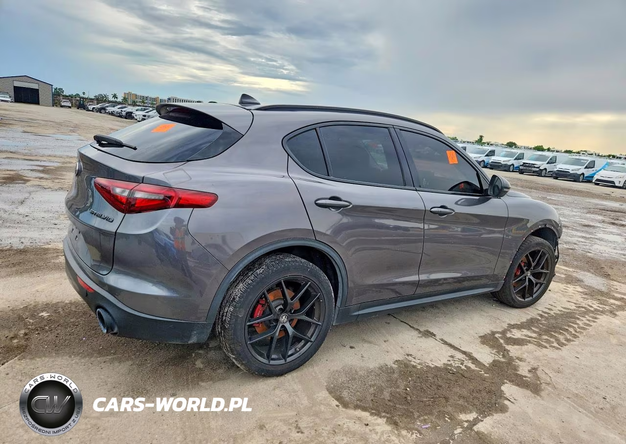 2019 Alfa Romeo Stelvio VIN:ZASPAJAN6K7C60321 - 3